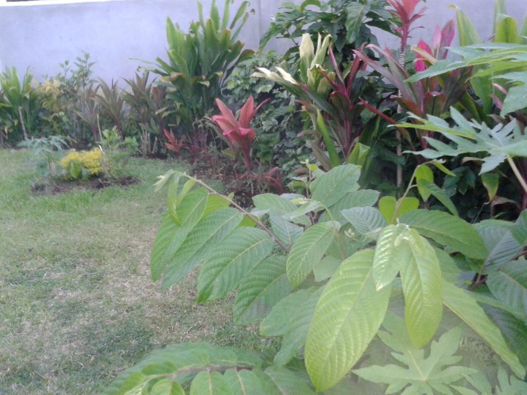 Dayspring Lodge Nuku'alofa Esterno foto