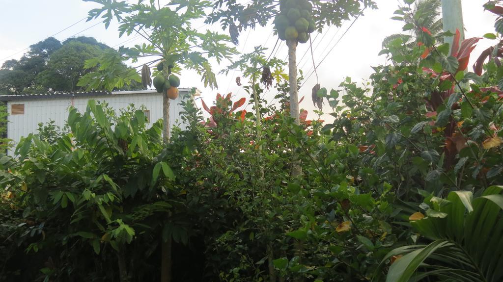 Dayspring Lodge Nuku'alofa Esterno foto
