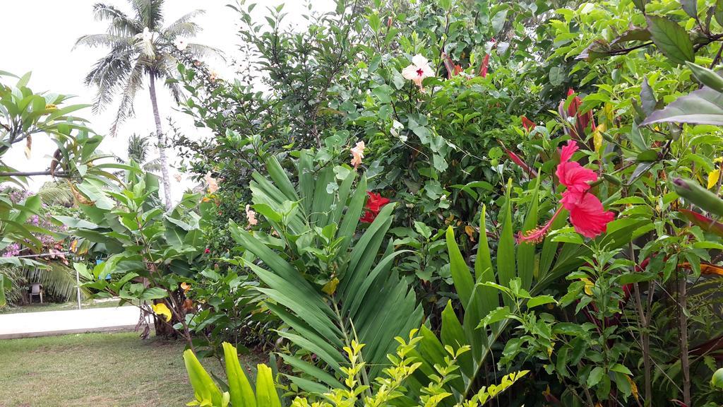 Dayspring Lodge Nuku'alofa Esterno foto