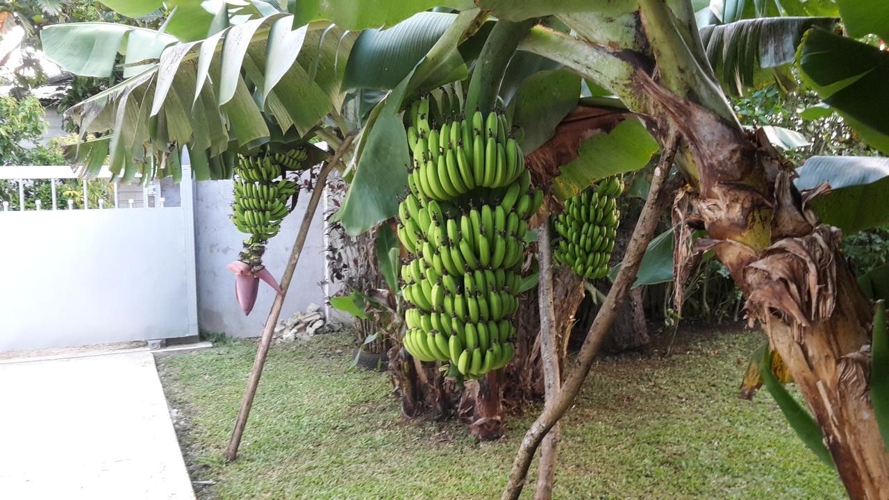 Dayspring Lodge Nuku'alofa Esterno foto